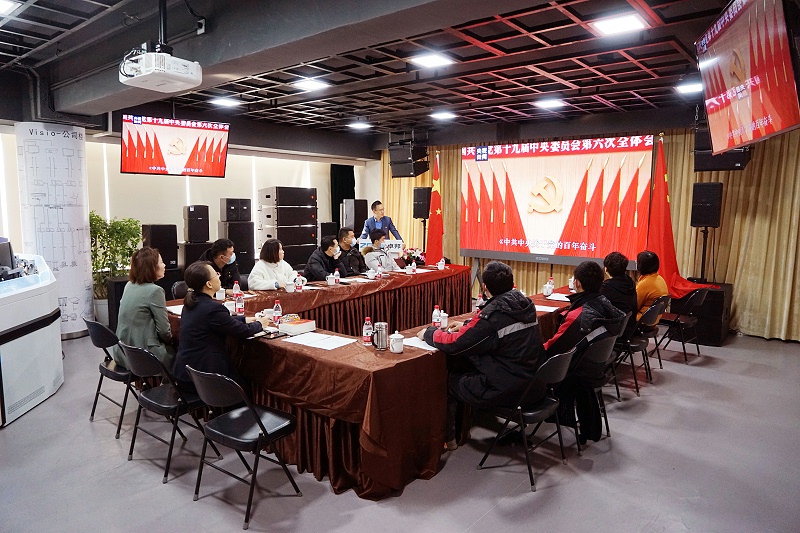 ZOBO蜜桃在线观看网站党支部丨开展“学习贯彻党的十九届六中全会精神”主题党日活动
