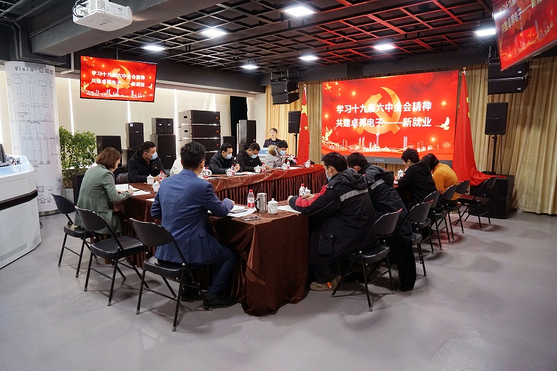 ZOBO蜜桃在线观看网站党支部丨开展“学习贯彻党的十九届六中全会精神”主题党日活动