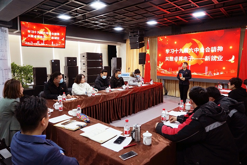 ZOBO蜜桃在线观看网站党支部丨开展“学习贯彻党的十九届六中全会精神”主题党日活动