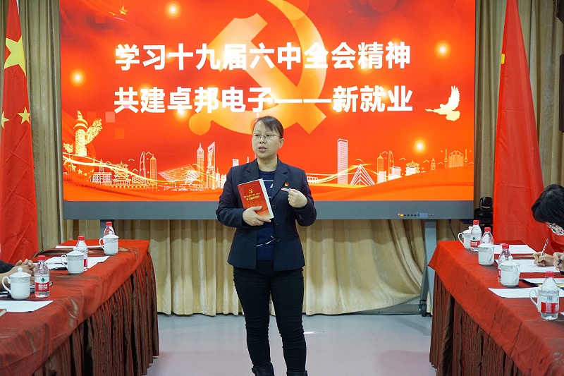 ZOBO蜜桃在线观看网站党支部丨开展“学习贯彻党的十九届六中全会精神”主题党日活动