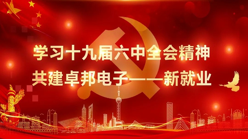 ZOBO蜜桃在线观看网站党支部丨开展“学习贯彻党的十九届六中全会精神”主题党日活动