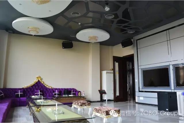 ZOBO蜜桃在线观看网站成功案例-北京丽维赛德酒店提供音视频解决方案